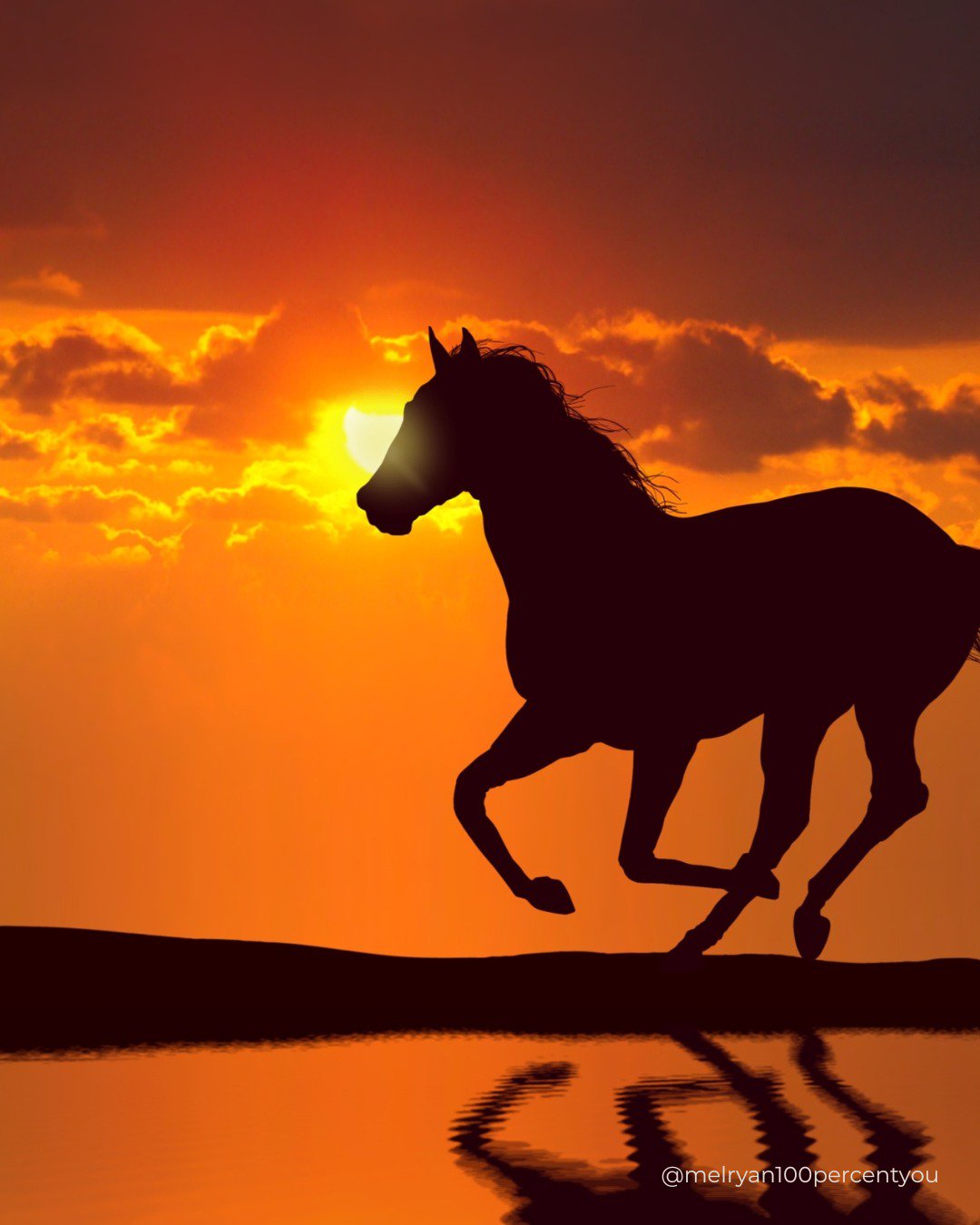 Understanding the Year of the Fire Horse. Your Guide to Your Next Move, Consciously cover